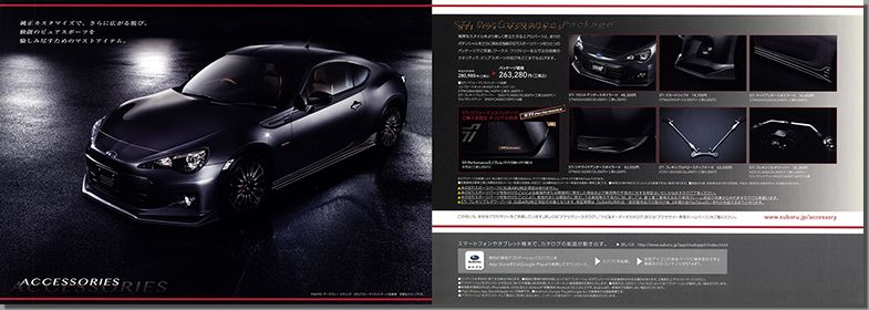 2013N10s XoBRZ Premium Sport Package(7)