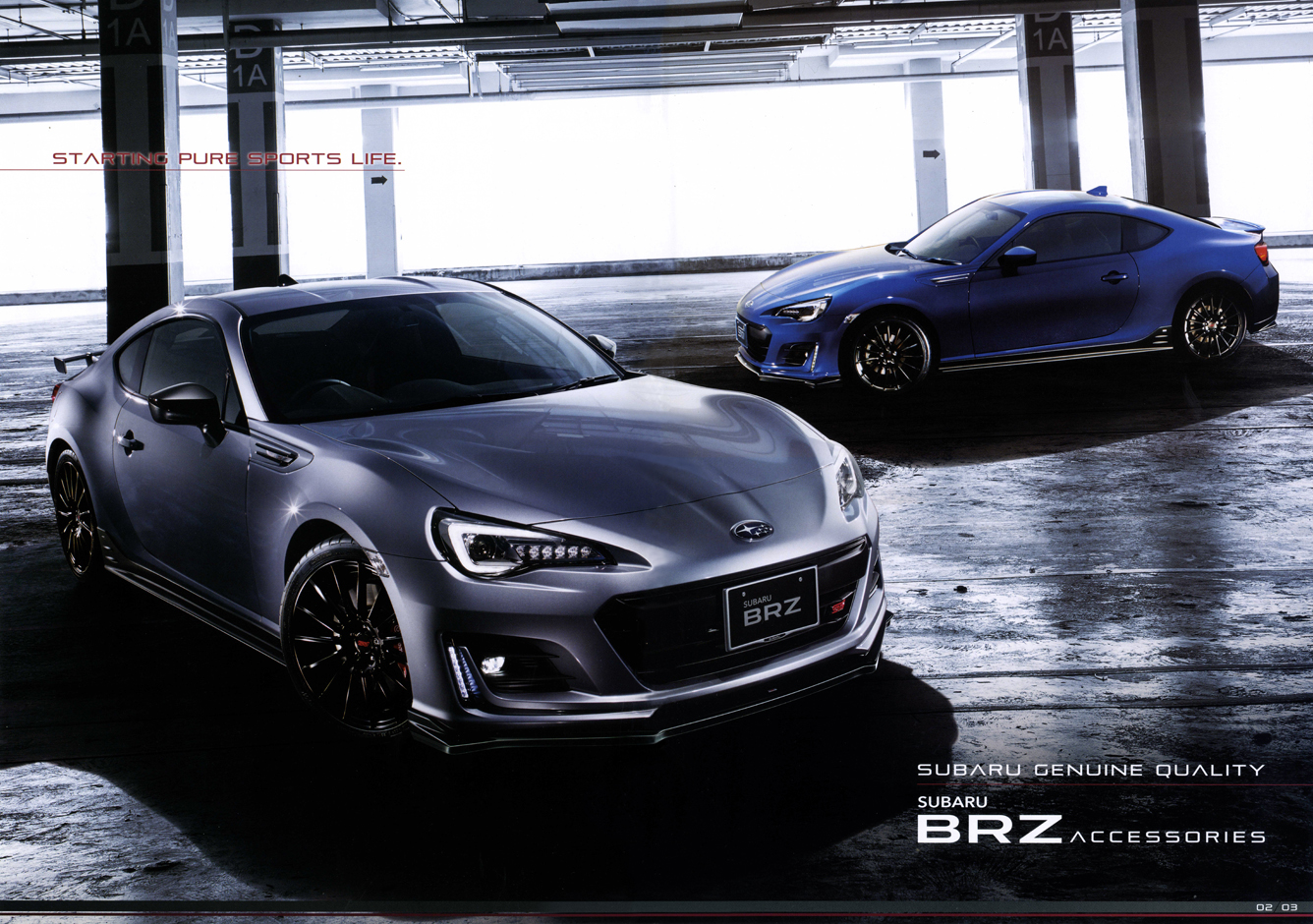 2018N9s XoBRZ ANZT[(3)