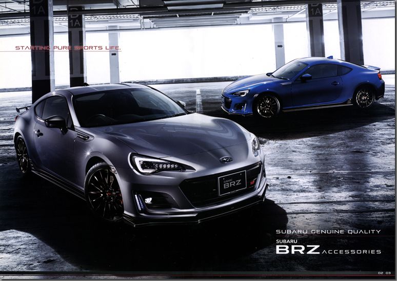 2019N4s XoBRZ ANZT[(3)