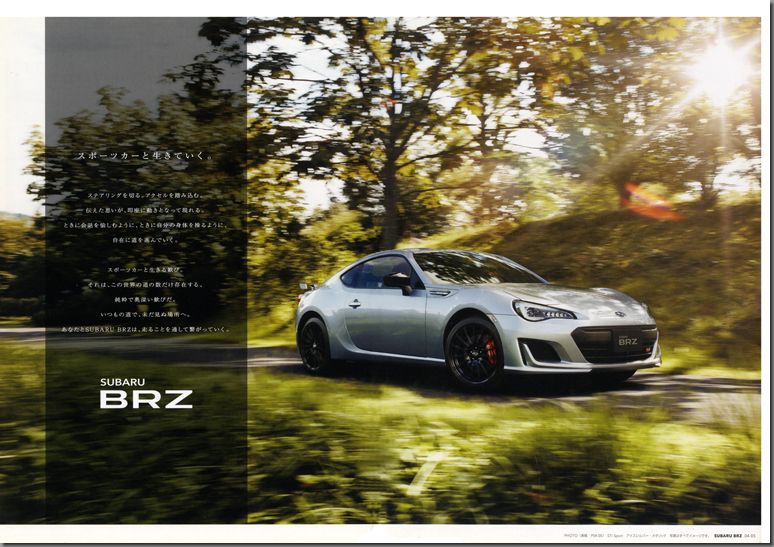 2019N4s XoBRZ(3)