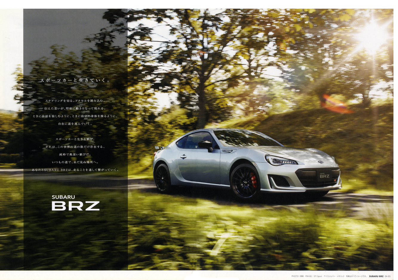 2019N4s XoBRZ(3)