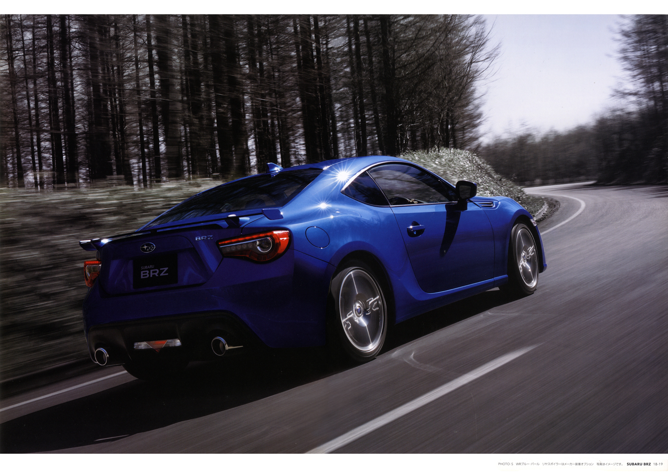 2019N4s XoBRZ(10)